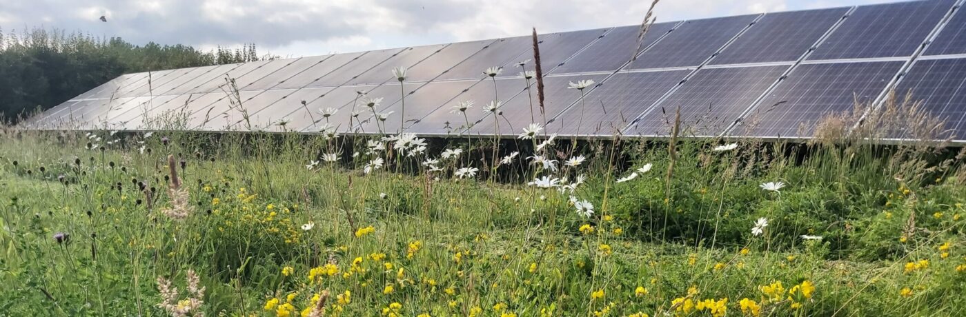 Our 300kW of panels generate